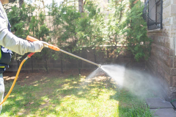 Best Lawn Pest Control  in Brewton, AL